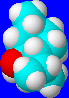 Mentholmolekl (20058 Byte)