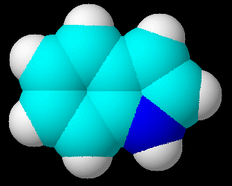 3D-Bild von Indol