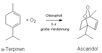 Schaubild: Synthese von Ascaridol (photosensibilisiert)