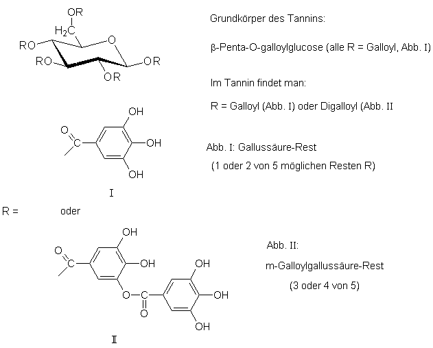 Chemische Struktur von Tannin