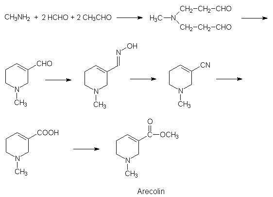 Syntheseschema von Arecolin