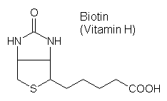 Strukturformel Biotin