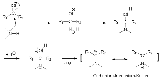 Bildung des Carbenium-Immonium-Anions