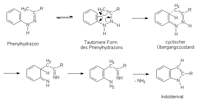 Mechanismus der Indolsynthese